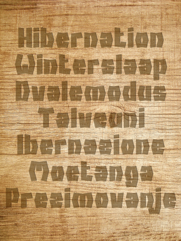 hibernation font